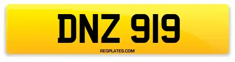 DNZ 919
