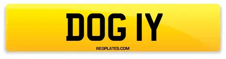 DOG 1Y