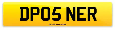 DP05 NER