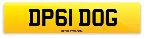 DP61 DOG