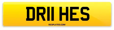 DR11 HES