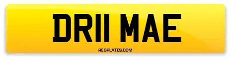 DR11 MAE