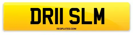 DR11 SLM