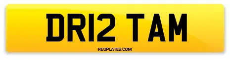 DR12 TAM