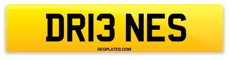 DR13 NES