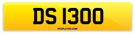 DS 1300