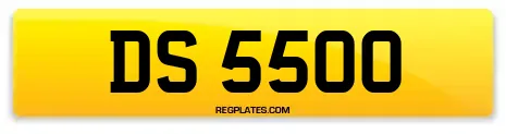 DS 5500