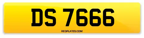 DS 7666