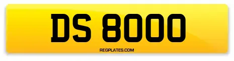 DS 8000