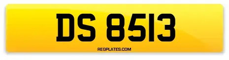 DS 8513