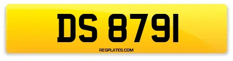 DS 8791