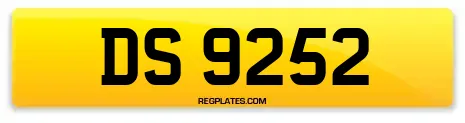 DS 9252