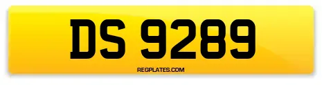DS 9289