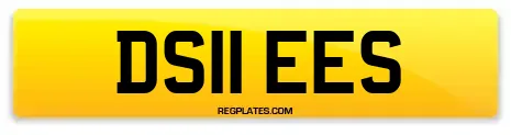 DS11 EES