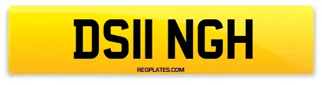 DS11 NGH