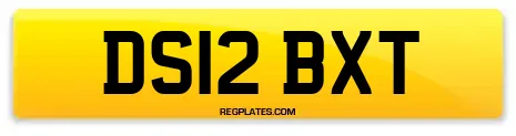 DS12 BXT