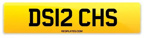 DS12 CHS