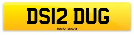DS12 DUG