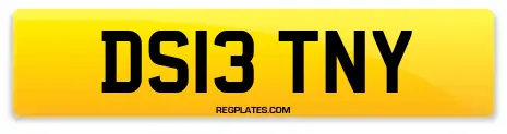 DS13 TNY