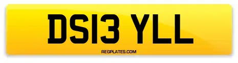 DS13 YLL