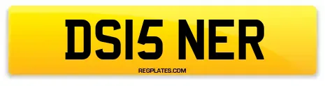 DS15 NER