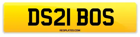 DS21 BOS