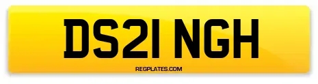 DS21 NGH