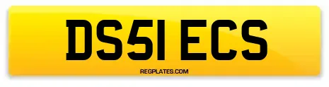 DS51 ECS