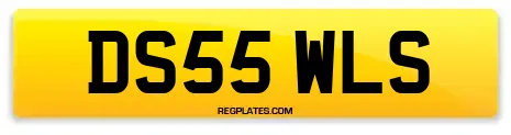 DS55 WLS