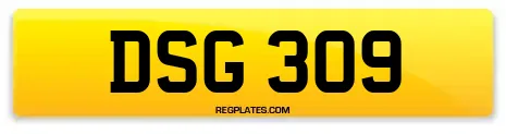 DSG 309