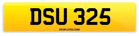 DSU 325