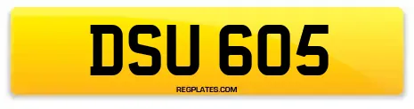DSU 605