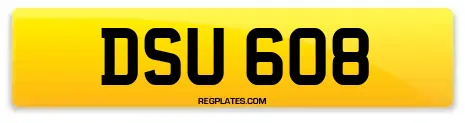 DSU 608
