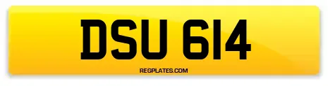 DSU 614