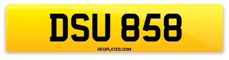 DSU 858