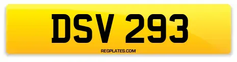 DSV 293