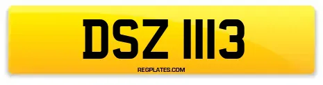 DSZ 1113