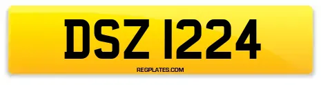 DSZ 1224