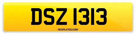 DSZ 1313