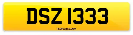 DSZ 1333