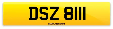 DSZ 8111
