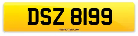 DSZ 8199