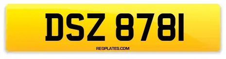 DSZ 8781