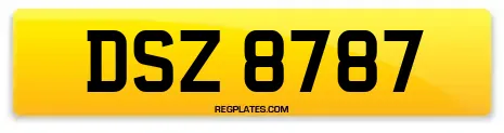 DSZ 8787