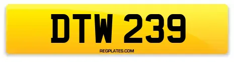 DTW 239