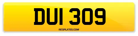 DUI 309