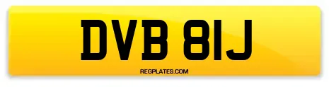 DVB 81J