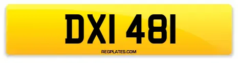 DXI 481