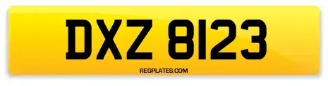 DXZ 8123