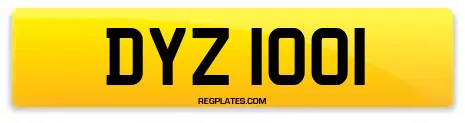 DYZ 1001
